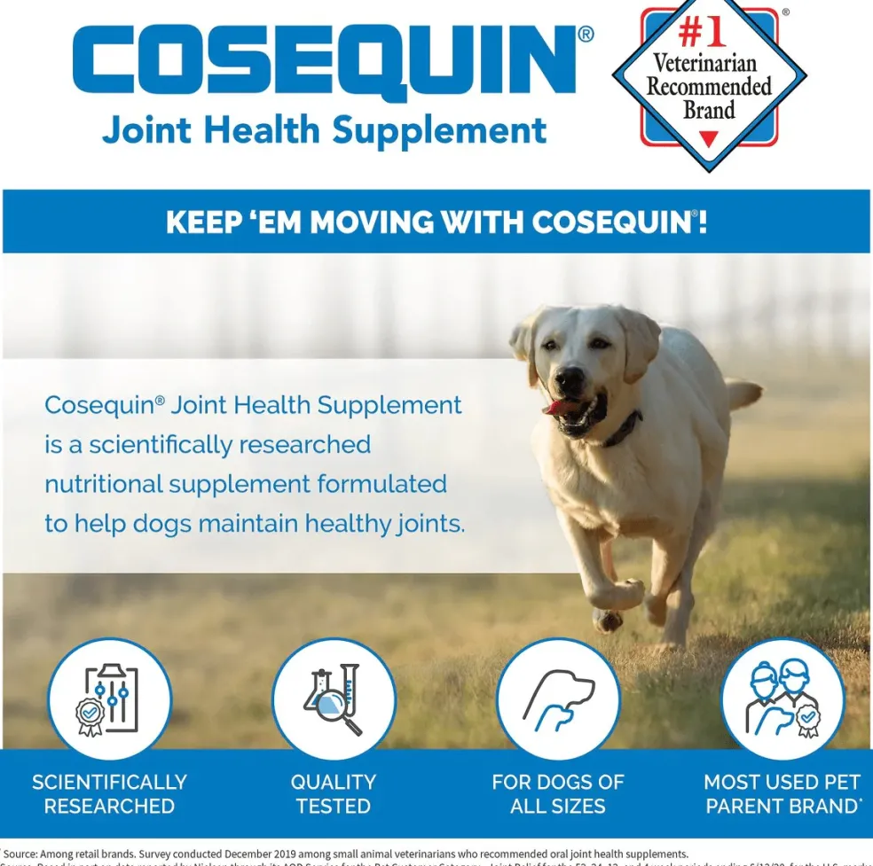 Nutramax Cosequin Minis Maximum Strength Joint Health Supplement - With Glucosamine, Chondroitin, MSM, and Omega-3's, 45 Soft Chews