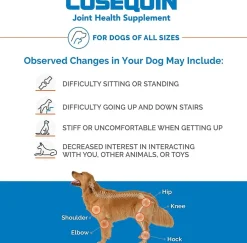 Nutramax Cosequin Regular Strength Joint Health Supplement for Cats and Small Dogs, With Glucosamine and Chondroitin, 132 Capsules