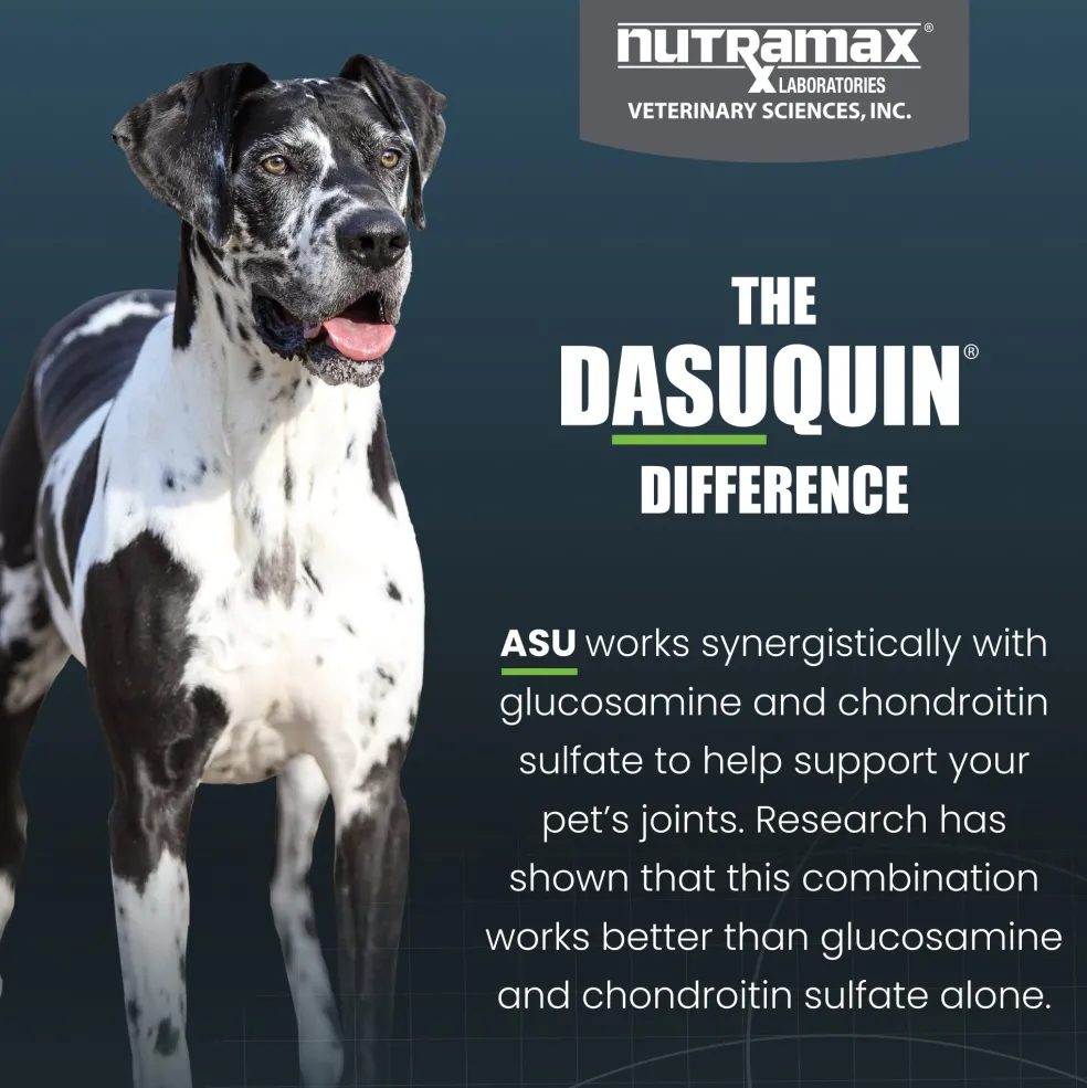 Nutramax Dasuquin Joint Health Supplement for Large Dogs - With Glucosamine, Chondroitin, ASU, MSM, Boswellia Serrata Extract, Green Tea Extract, Soft Chews