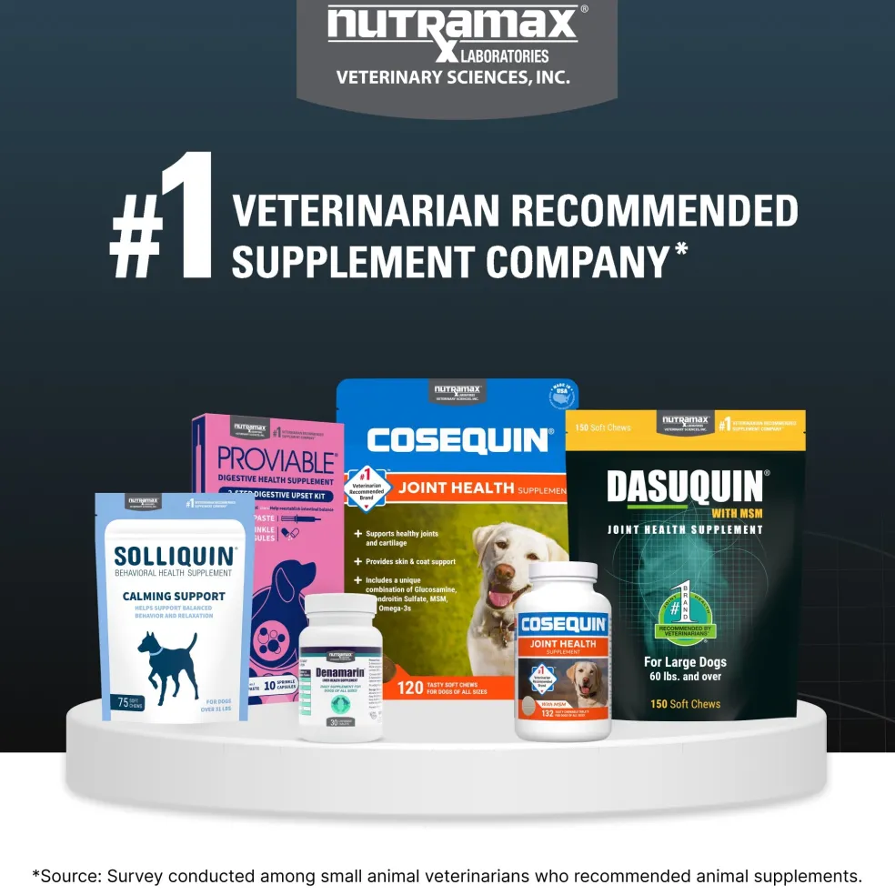Nutramax Dasuquin Joint Health Supplement for Small to Medium Dogs - With Glucosamine, Chondroitin, ASU, Boswellia Serrata Extract and Green Tea Extract, Chewable Tablets