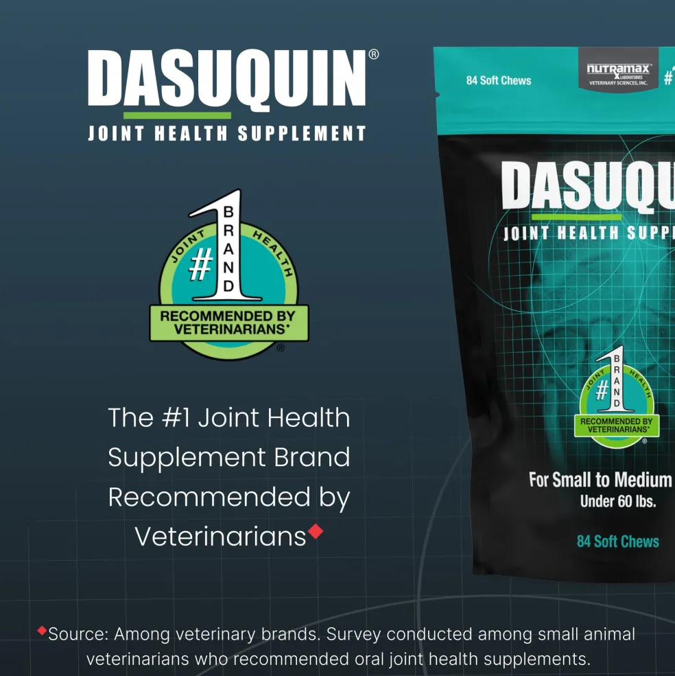 Nutramax Dasuquin Joint Health Supplement for Small to Medium Dogs - With Glucosamine, Chondroitin, ASU, Boswellia Serrata Extract, Green Tea Extract, Soft Chews