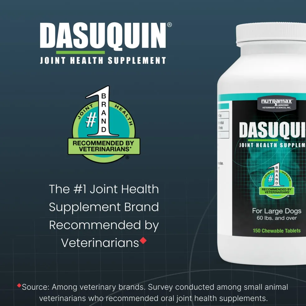 Nutramax Dasuquin Joint Health Supplement for Large Dogs - With Glucosamine, Chondroitin, ASU, Boswellia Serrata Extract, and Green Tea Extract, Chewable Tablets