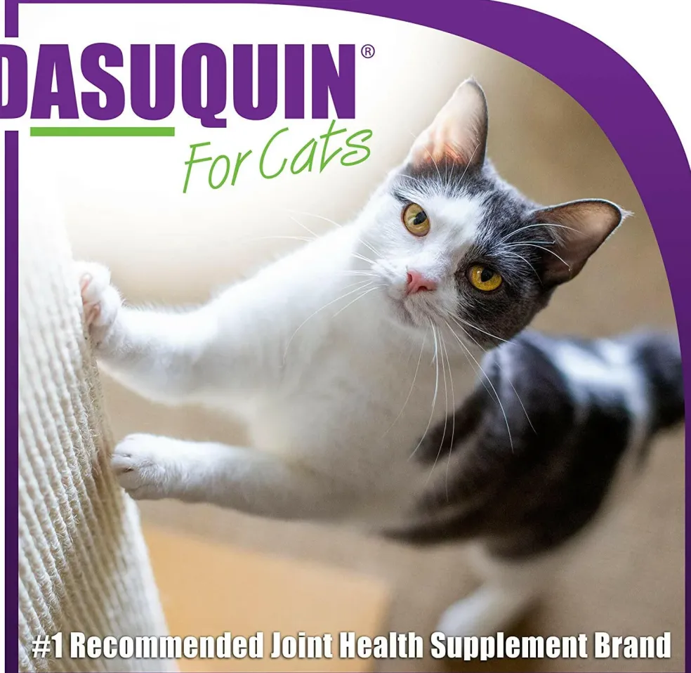Nutramax Dasuquin Joint Health Supplement for Cats - With Glucosamine, Chondroitin, ASU, Boswellia Serrata Extract, Green Tea Extract, Omega-3’s, 84 Soft Chews