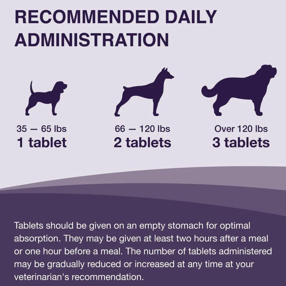 Nutramax Denamarin Liver Health Supplement for Large Dogs - With S-Adenosylmethionine (SAMe) and Silybin, Tablets