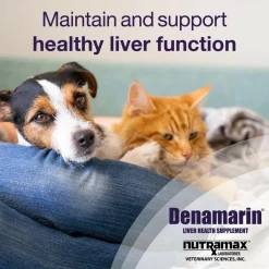 Nutramax Denamarin Liver Health Supplement for Small Dogs and Cats - With S-Adenosylmethionine (SAMe) and Silybin