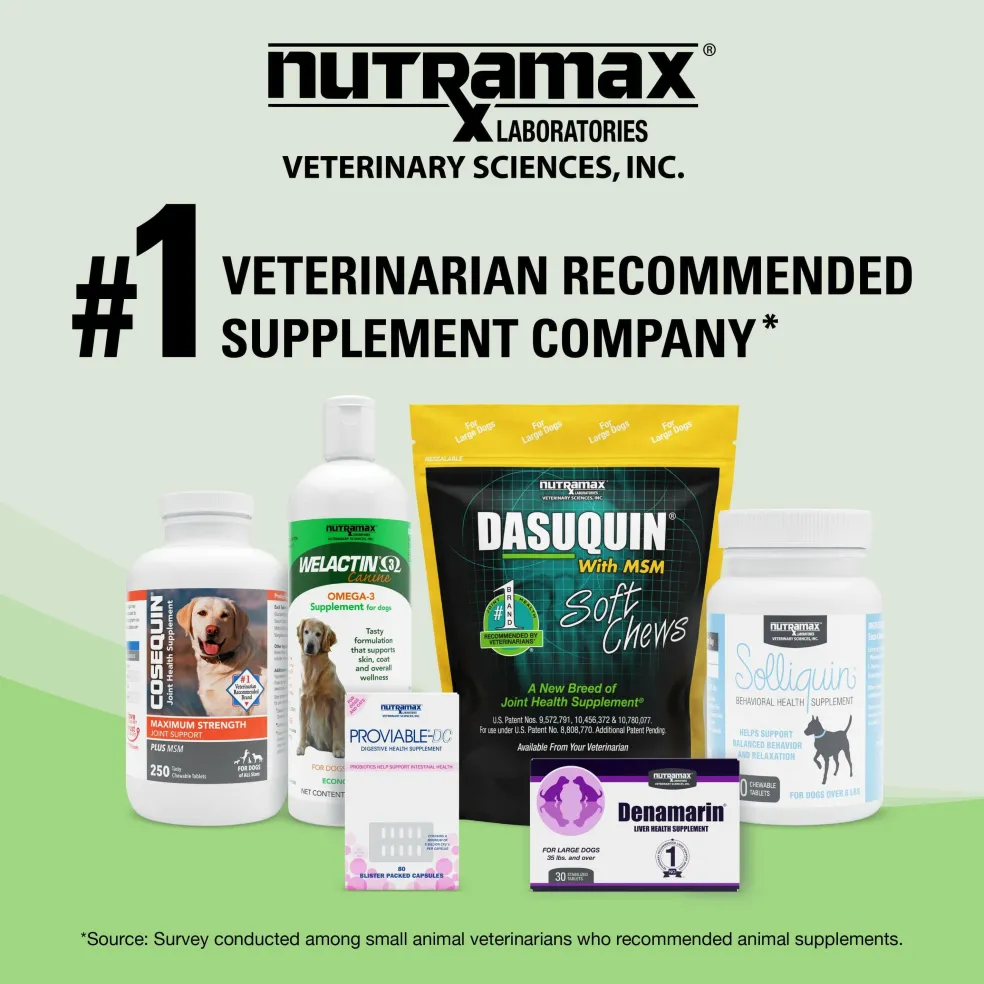 Nutramax Denosyl Liver and Brain Health Supplement for Large Dogs, With S-Adenosylmethionine (SAMe)