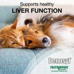 Nutramax Denosyl Liver and Brain Health Supplement for Small Dogs and Cats, With S-Adenosylmethionine (SAMe)