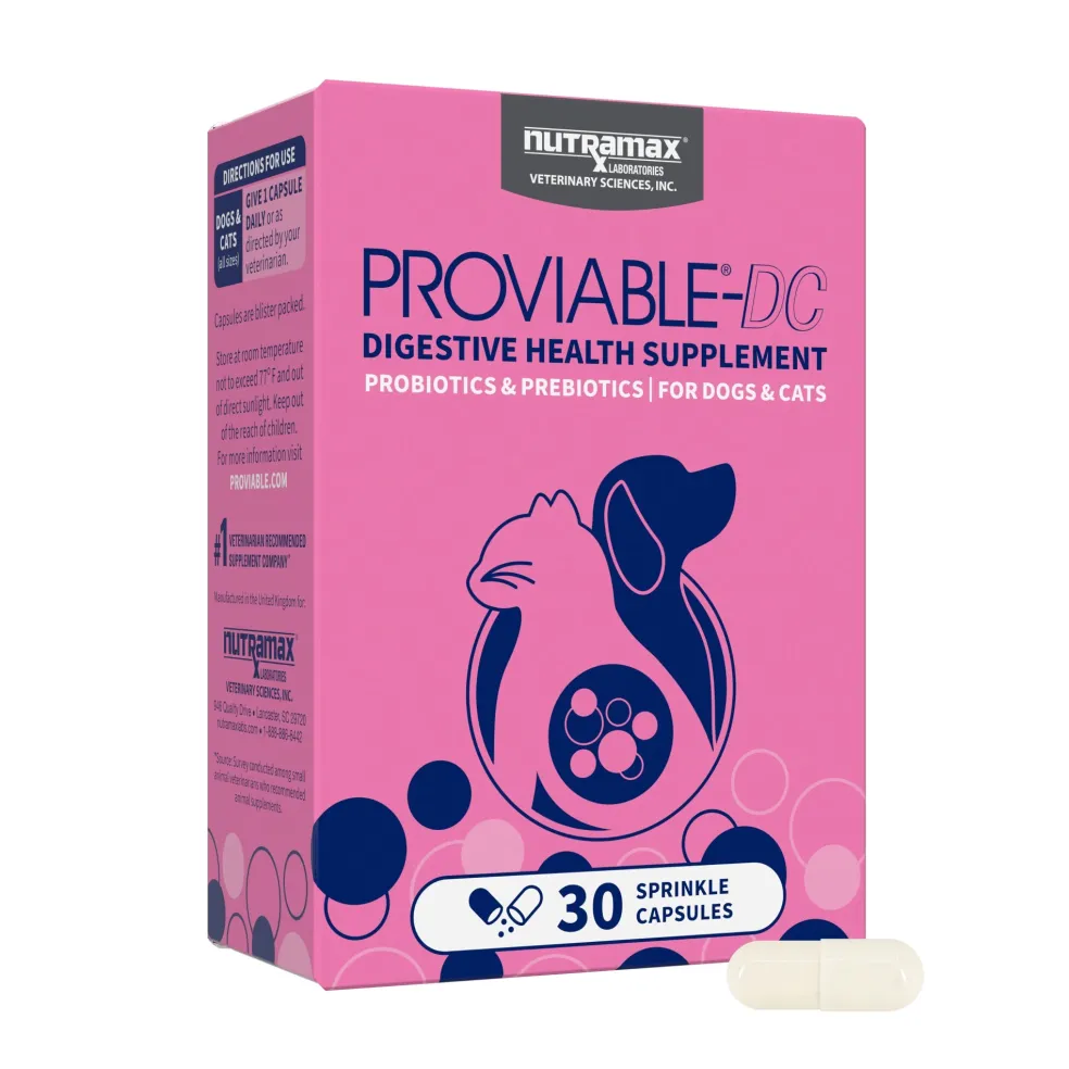 Nutramax Proviable-DC Digestive Health Supplement - Probiotics for Dogs & Cats