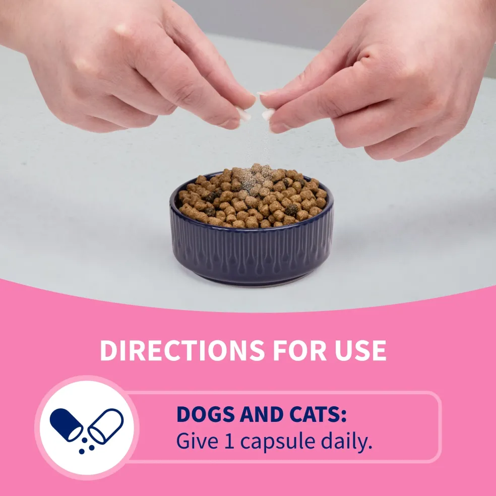 Nutramax Proviable-DC Digestive Health Supplement - Probiotics for Dogs & Cats