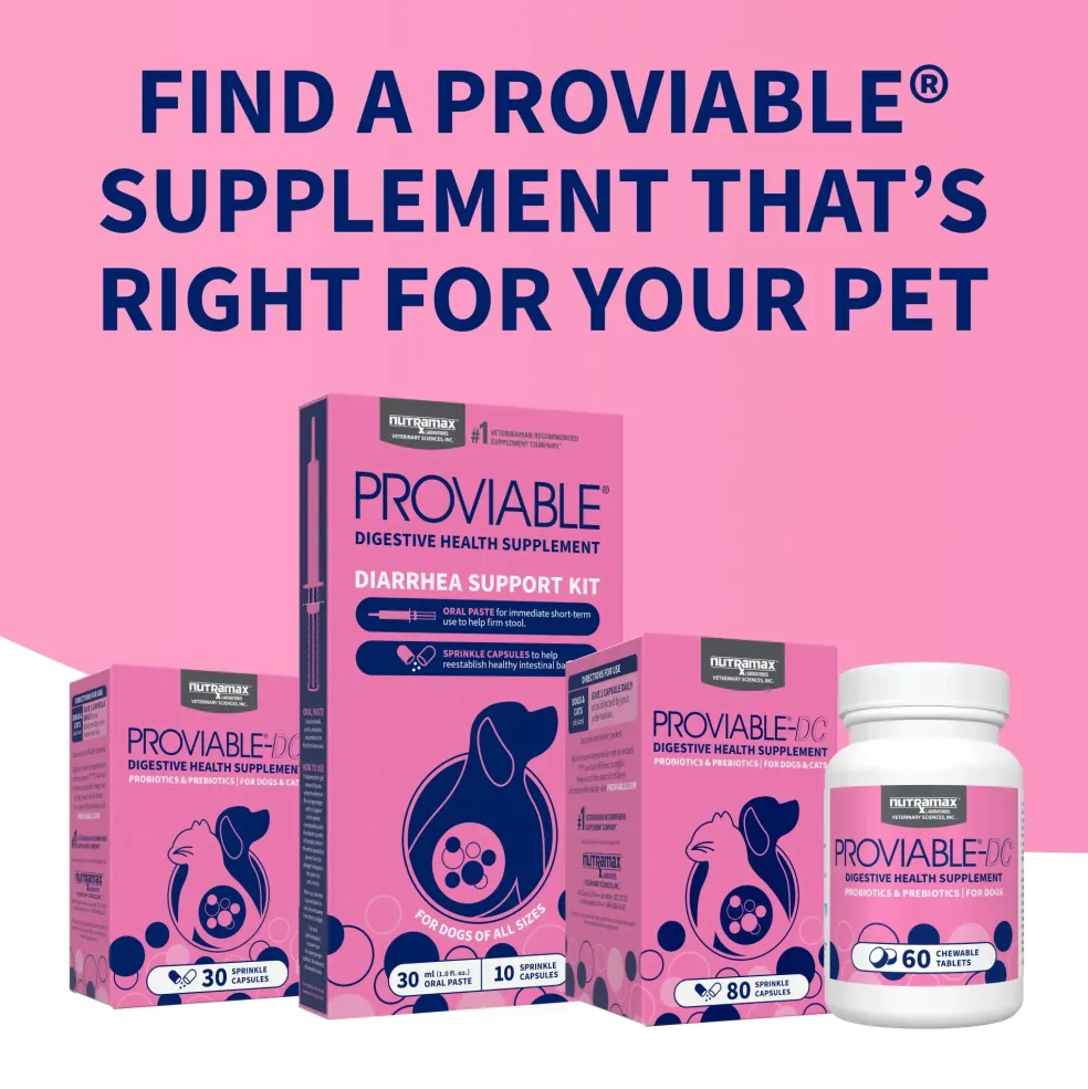 Nutramax Proviable-DC Digestive Health Supplement - Probiotics for Dogs & Cats
