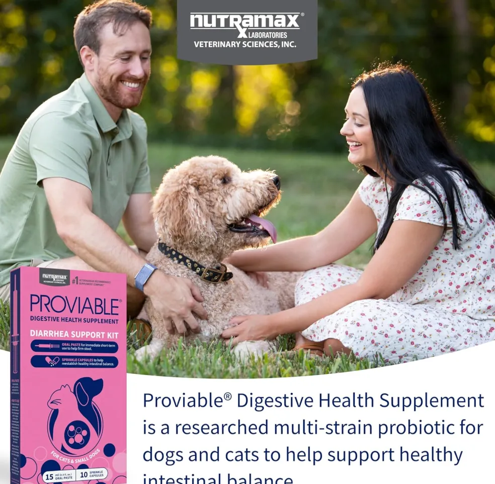 Nutramax Proviable Digestive Health Supplement Kit for Cats And Dogs