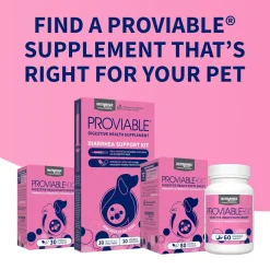 Nutramax Proviable Digestive Health Supplement Kit for Cats And Dogs
