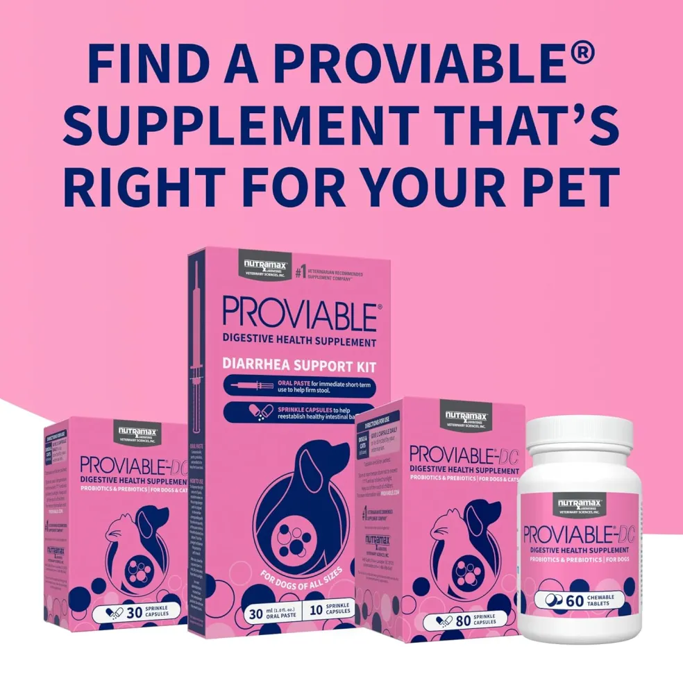 Nutramax Proviable Digestive Health Supplement Kit for Cats And Dogs