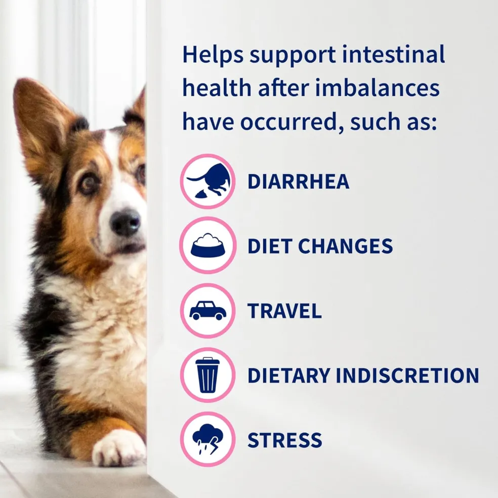 Nutramax Proviable Digestive Health Supplement Kit for Cats And Dogs