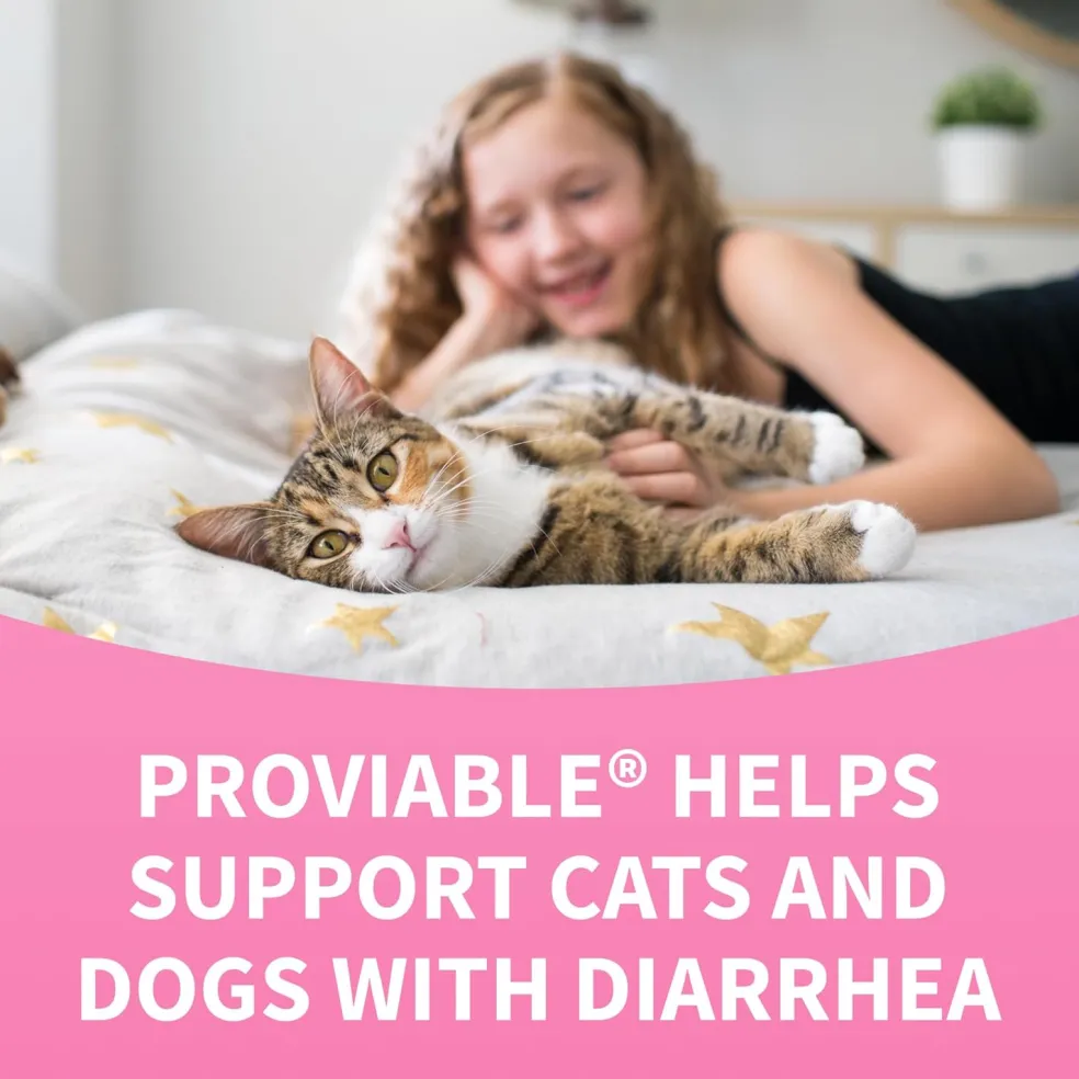 Nutramax Proviable Digestive Health Supplement Kit for Cats And Dogs