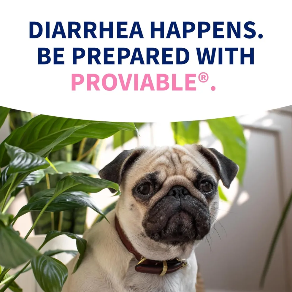 Nutramax Proviable Digestive Health Supplement Kit for Cats And Dogs