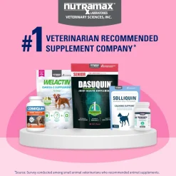 Nutramax Proviable Digestive Health Supplement Kit for Cats And Dogs