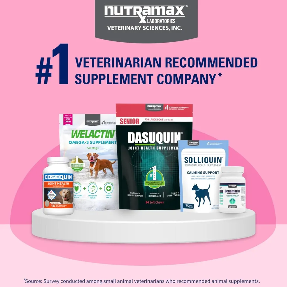 Nutramax Proviable Digestive Health Supplement Kit for Cats And Dogs