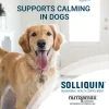 Nutramax Solliquin Calming Behavioral Health Supplement for Large Dogs – 75 Soft Chews