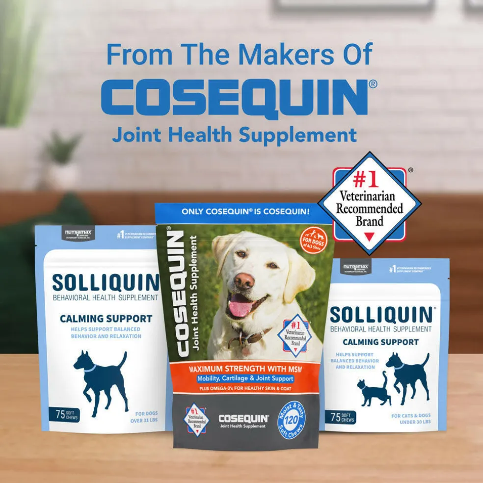 Nutramax Solliquin Calming Behavioral Health Supplement for Large Dogs – 75 Soft Chews