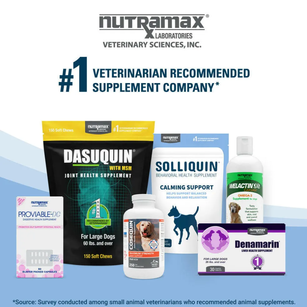 Nutramax Solliquin Calming Behavioral Health Supplement for Large Dogs – 75 Soft Chews