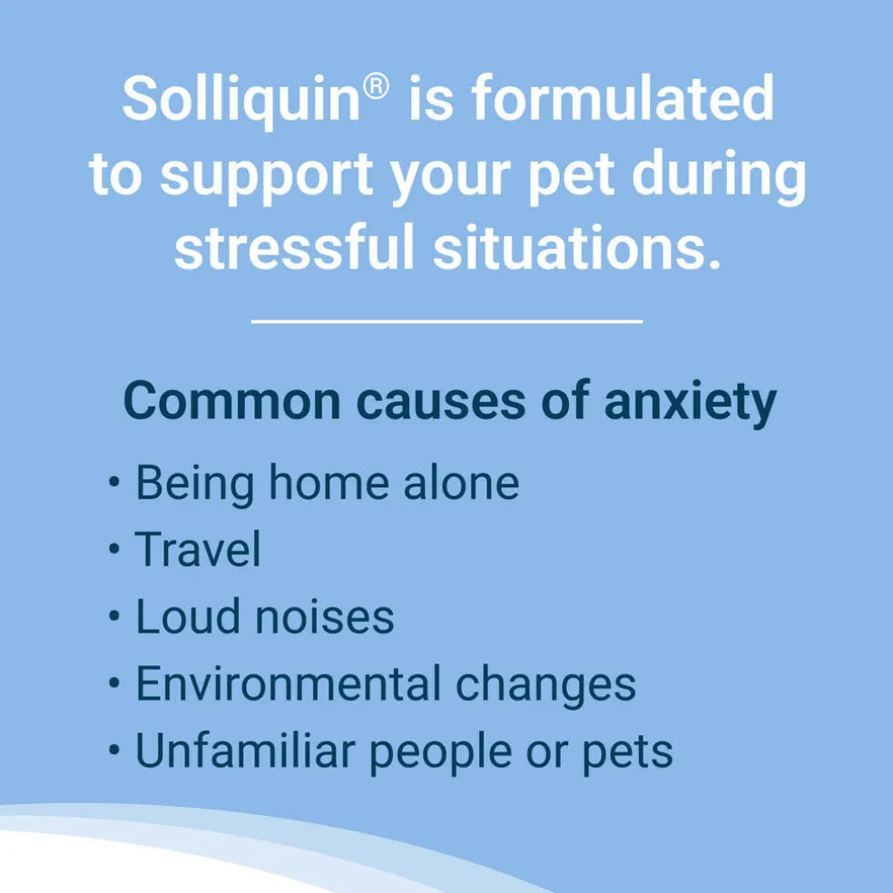 Nutramax Solliquin Calming Behavioral Health Supplement for Large Dogs – 75 Soft Chews