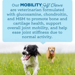 NutriSource AmpliFull Mobility Soft Chews Dogs Supplement, Turkey Flavor, 70-count