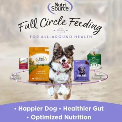 NutriSource AmpliFull Multivitamin Soft Chews Dogs Supplement, Turkey Flavor, 70-count