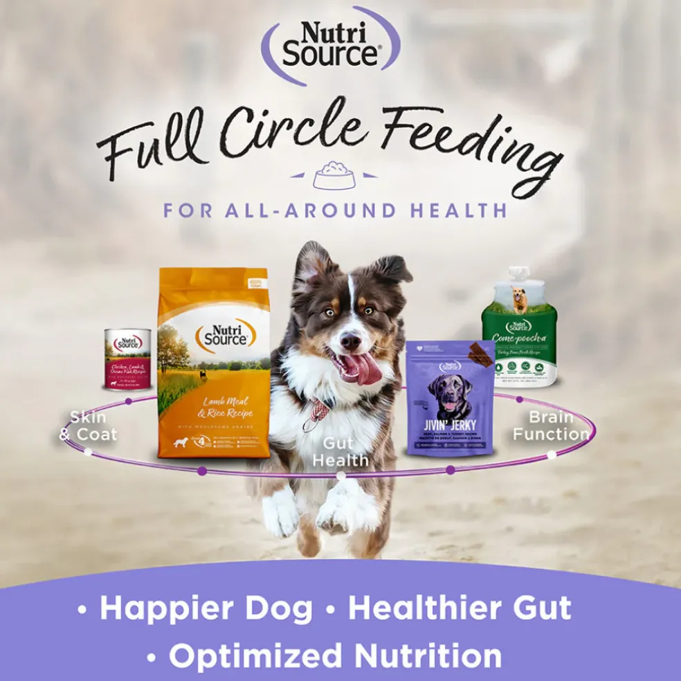 NutriSource Jivin' Jerky Boar Turkey & Salmon Jerky Dog Treats (4 oz)