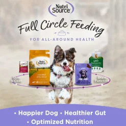 NutriSource Nutty Butter Bites with Almond Butter & Cranberry Soft & Chewy Dogs Treats (6 oz)