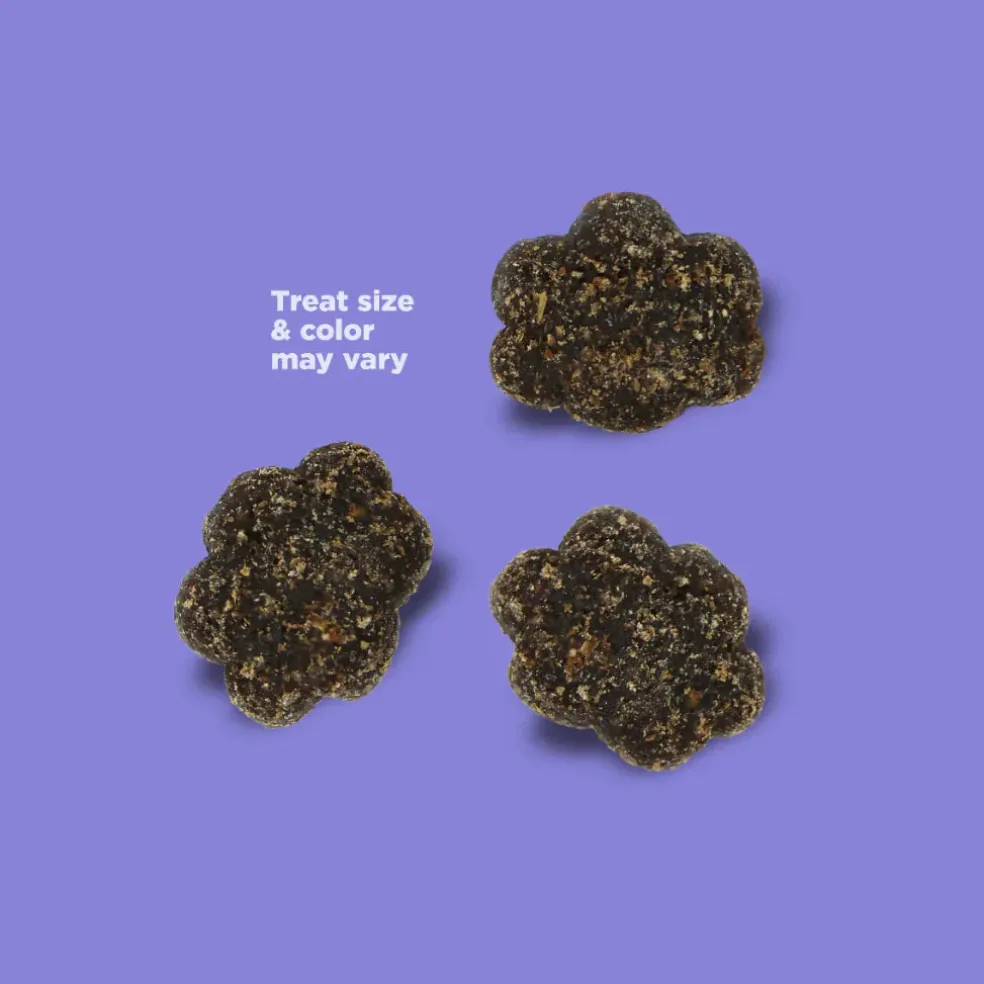NutriSource Nutty Butter Bites with Peanut Butter & Apple Soft & Chewy Dogs Treats (6 oz)