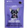NutriSource Nutty Butter Bites with Peanut Butter & Banana Soft & Chewy Dogs Treats (6 oz)