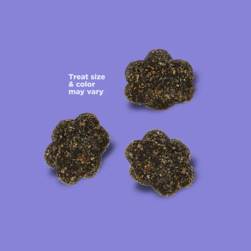NutriSource Nutty Butter Bites with Peanut Butter & Banana Soft & Chewy Dogs Treats (6 oz)