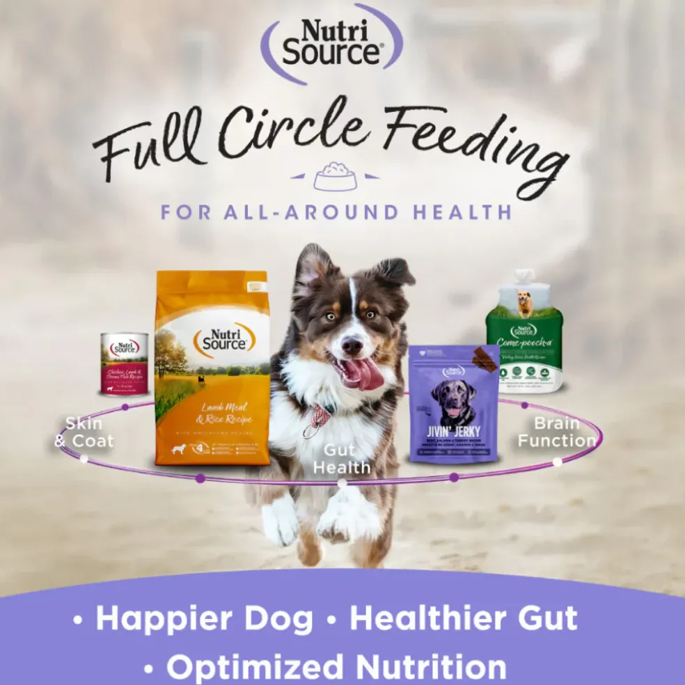 NutriSource Nutty Butter Bites with Peanut Butter & Banana Soft & Chewy Dogs Treats (6 oz)