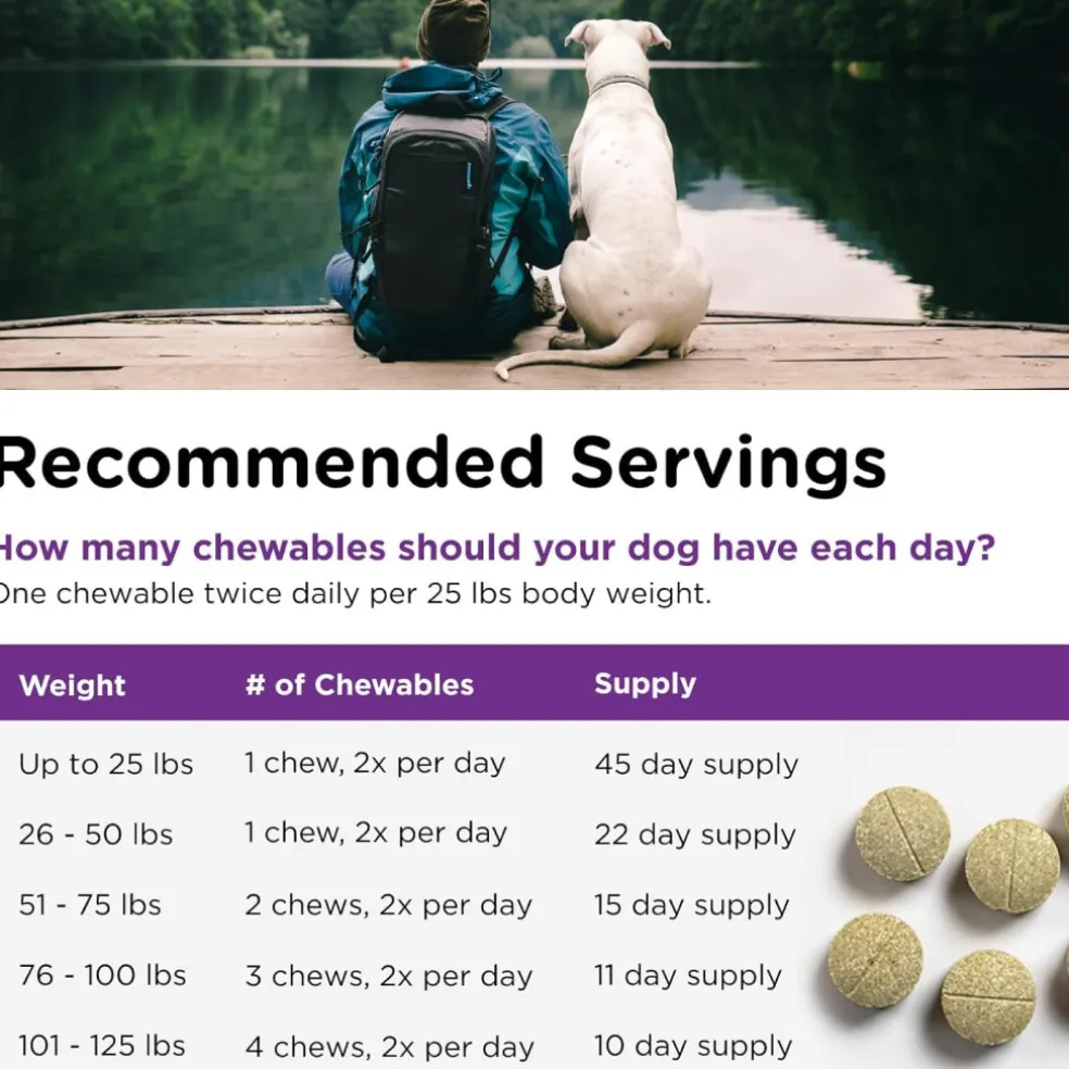 Nutri-Vet Bladder Control Supplement for Dogs to Help Prevent Incontinence (90 chewable tablets)