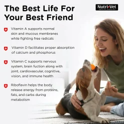Nutri-Vet Multi-Vite Chewable Tablets for Dogs