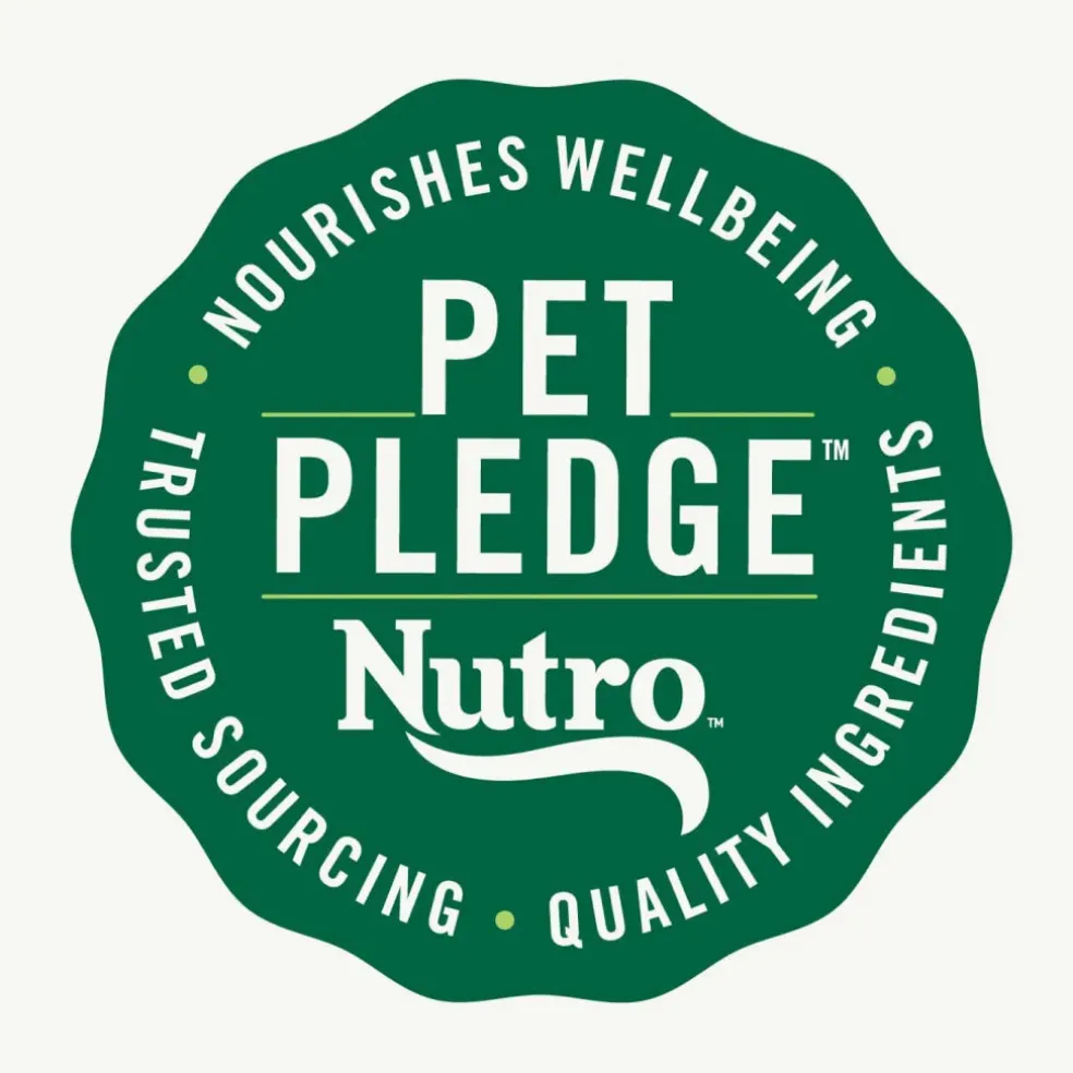Nutro Crunchy Biscuits with Real Mixed Berries Treats For Dogs