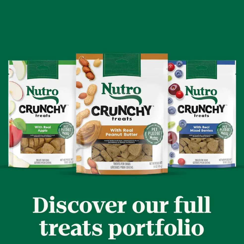 Nutro Crunchy Biscuits with Real Apple Treats For Dogs