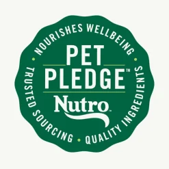 Nutro Crunchy Biscuits with Real Apple Treats For Dogs