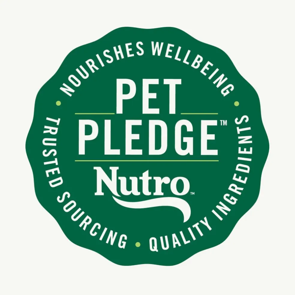 Nutro Crunchy Biscuits with Real Apple Treats For Dogs