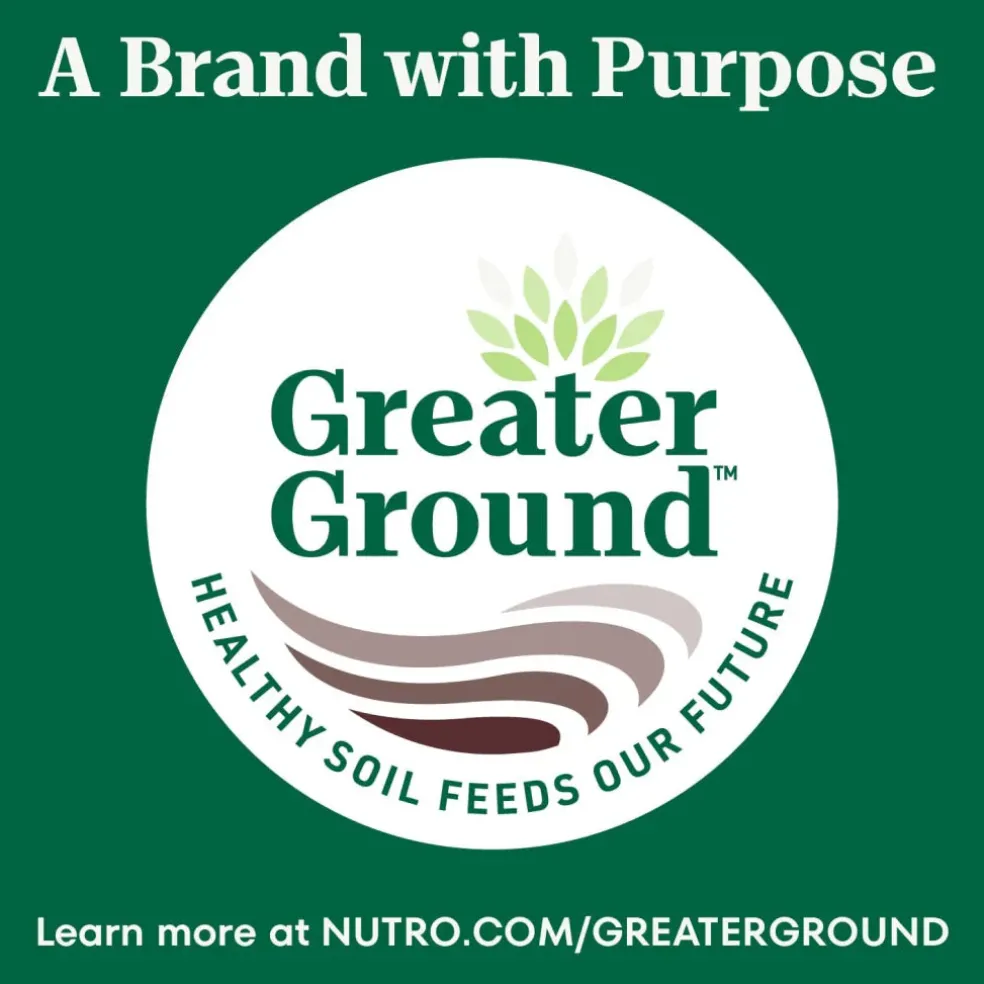 Nutro Crunchy Biscuits with Real Apple Treats For Dogs
