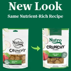 Nutro Crunchy Biscuits with Real Apple Treats For Dogs