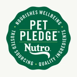 Nutro Crunchy Biscuits with Real Peanut Butter Treats For Dogs