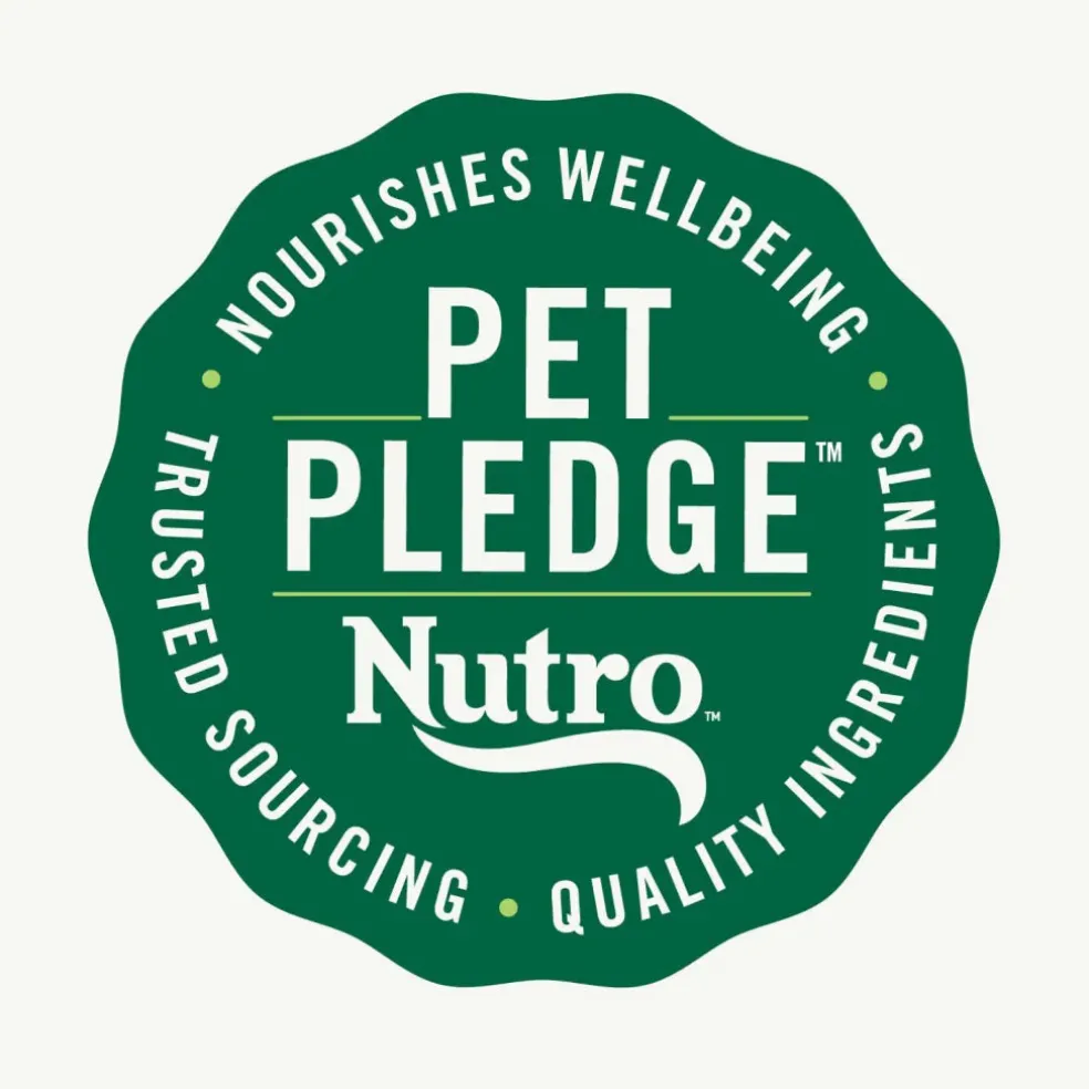 Nutro Crunchy Biscuits with Real Peanut Butter Treats For Dogs