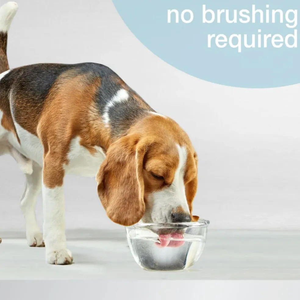 Nylabone Advanced Oral Care Dental Water Additive for Dogs