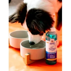 Nylabone Advanced Oral Care Dental Water Additive for Dogs