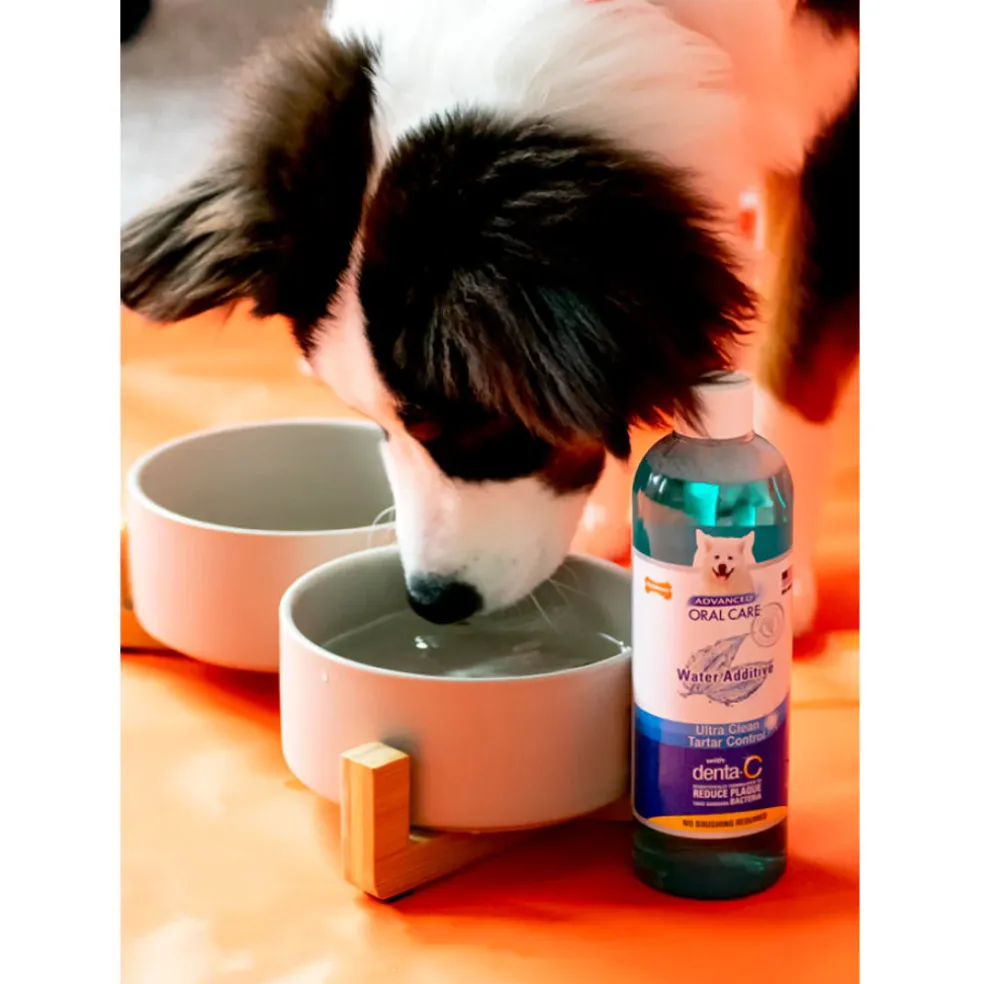 Nylabone Advanced Oral Care Dental Water Additive for Dogs