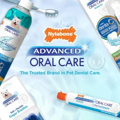 Nylabone Advanced Oral Care Dog Dental Kit