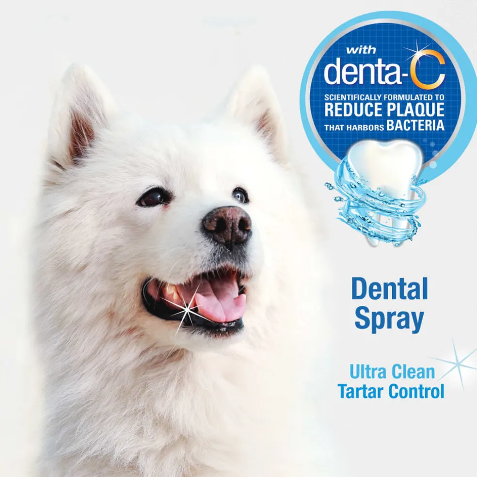 Nylabone Advanced Oral Care Fresh Breath Dental Spray For Dogs (4 oz)