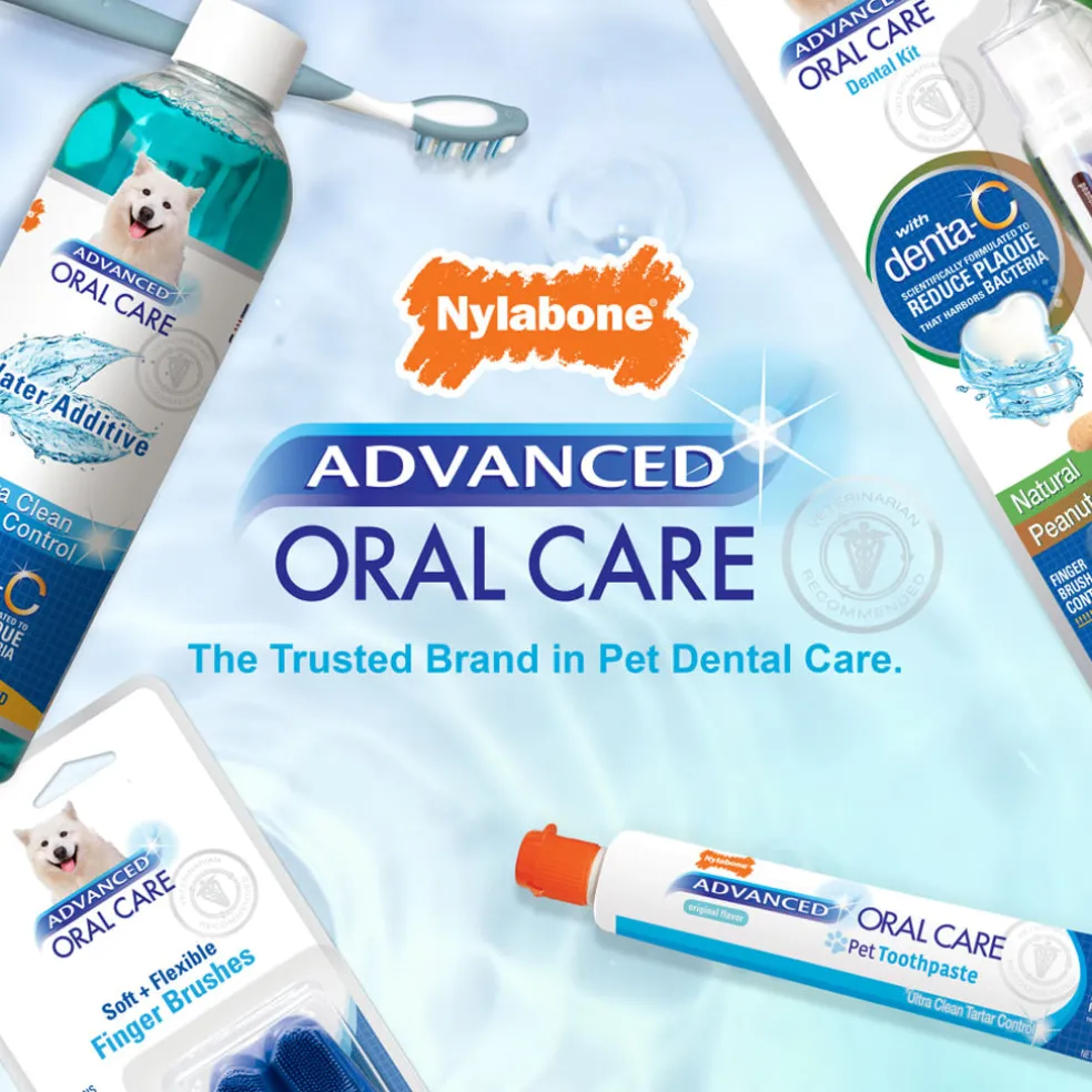Nylabone Advanced Oral Care Fresh Breath Dental Spray For Dogs (4 oz)